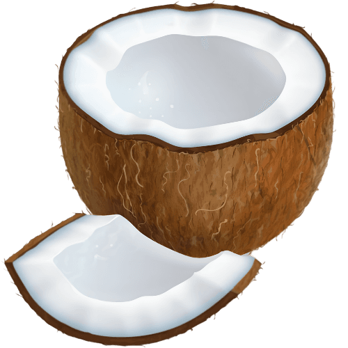 Coconut